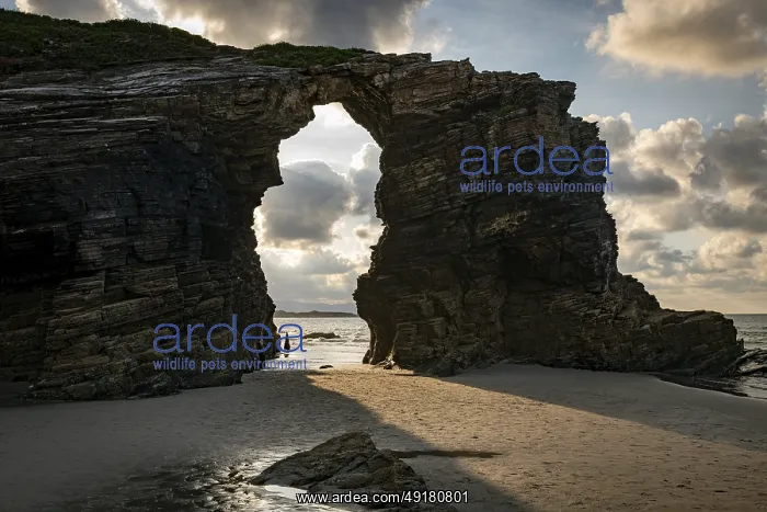 : Playa de las Catedrales, Galicia, Spain : Playa de las Catedrales, Galicia, Spain