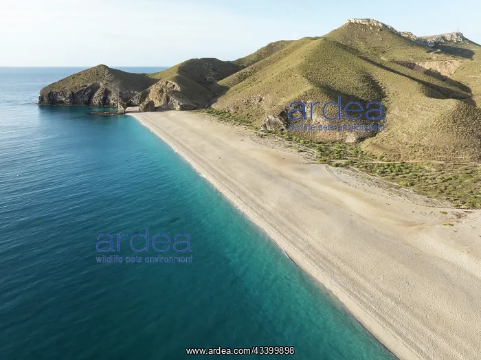 : The Playa de los Muertos (beach of the dead). Aerial : The Playa de los Muertos (beach of the dead). Aerial