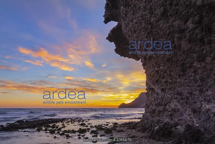 : Playa de Monsul - lava rock formations along the : Playa de Monsul - lava rock formations along the