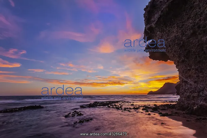 : Playa de Monsul - lava rock formations along the : Playa de Monsul - lava rock formations along the