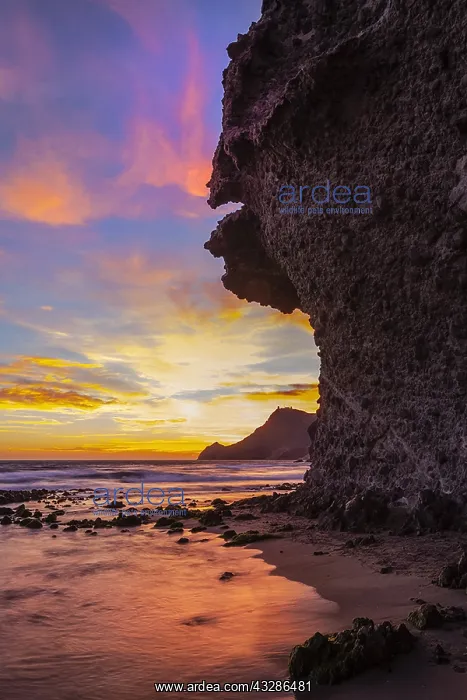 : Playa de Monsul - lava rock formations along the : Playa de Monsul - lava rock formations along the