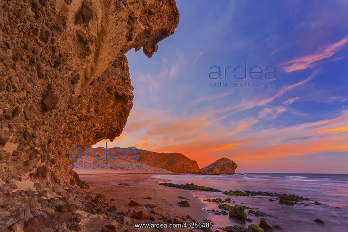 : Playa de Monsul - lava rock formations along the : Playa de Monsul - lava rock formations along the