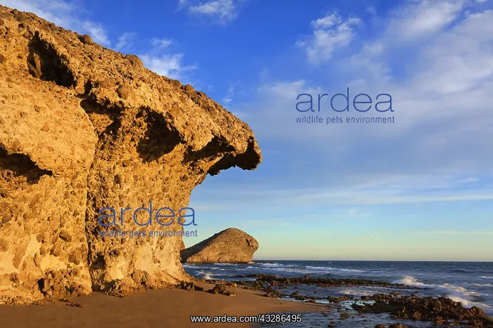 : Playa de Monsul - lava rock formations along the : Playa de Monsul - lava rock formations along the