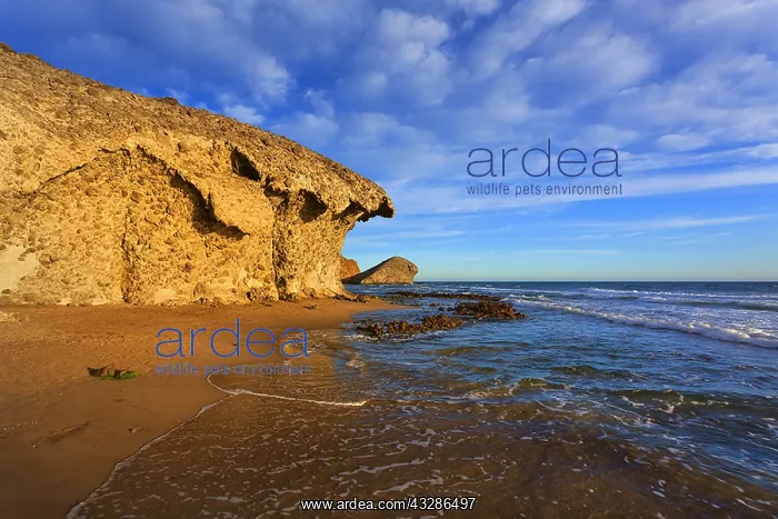 : Playa de Monsul - lava rock formations along the : Playa de Monsul - lava rock formations along the
