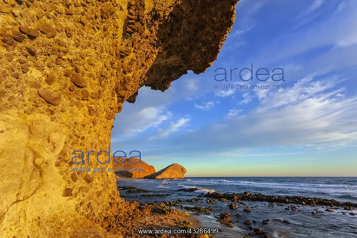 : Playa de Monsul - lava rock formations along the : Playa de Monsul - lava rock formations along the