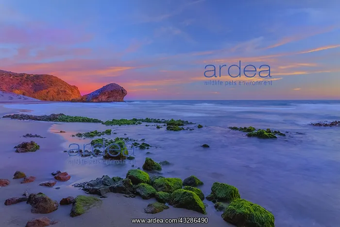 : Playa de Monsul - sandy beach of Playa de Monsul : Playa de Monsul - sandy beach of Playa de Monsul