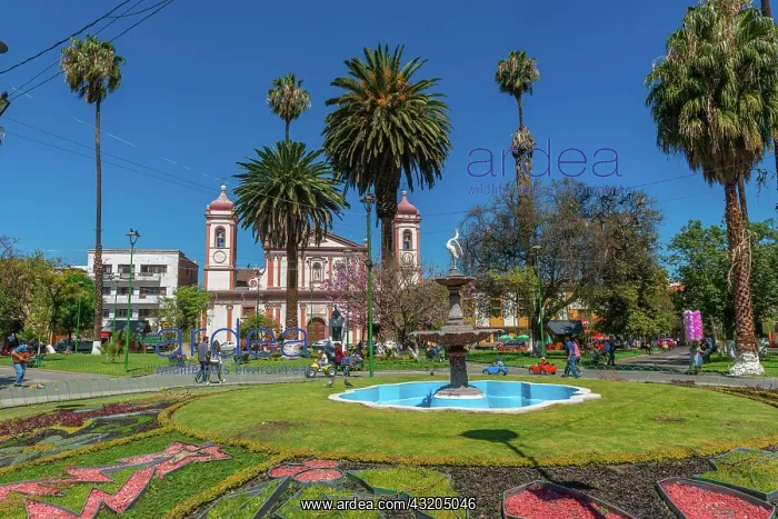 : Plaza Colon, Colon Square, Eglesia El Hospicio : Plaza Colon, Colon Square, Eglesia El Hospicio