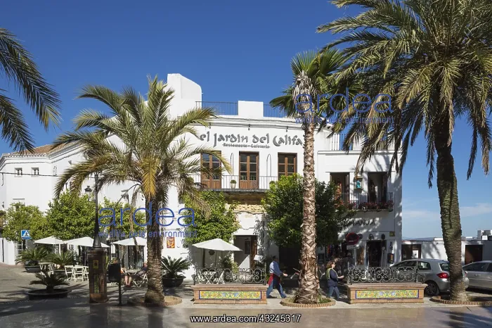 : The Plaza de Espa&, xf1;a and brillianty whitewashed : The Plaza de Espa&, xf1;a and brillianty whitewashed
