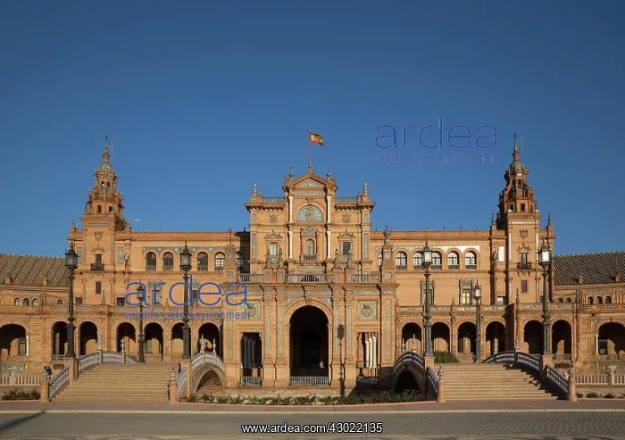 : The Plaza de Espana : The Plaza de Espana