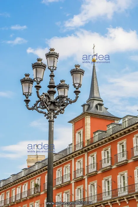 : Plaza Mayor and Casa de la Panaderia, Madrid, Spain : Plaza Mayor and Casa de la Panaderia, Madrid, Spain
