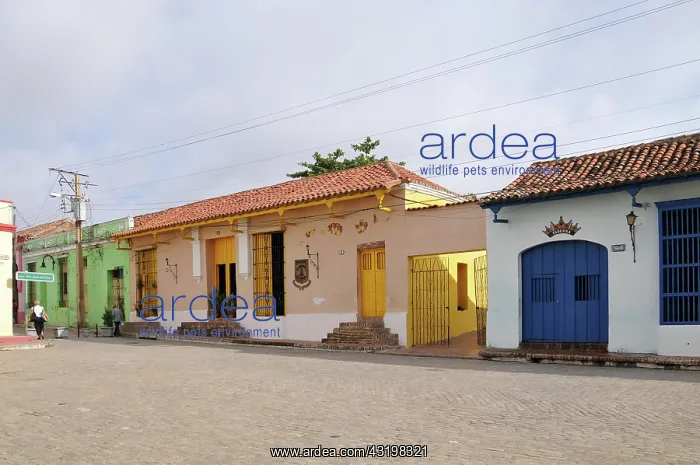 : Plaza San Juan de Dios, historic district of Camagueey : Plaza San Juan de Dios, historic district of Camagueey