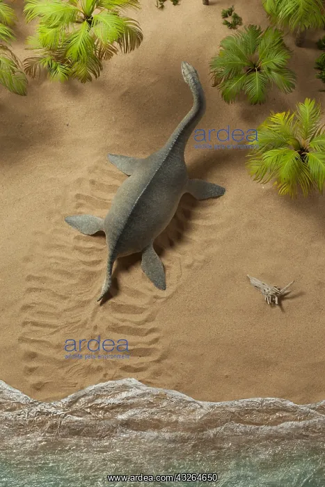 : Plesiosaur crawls ashore for nesting-site. Length: : Plesiosaur crawls ashore for nesting-site. Length: