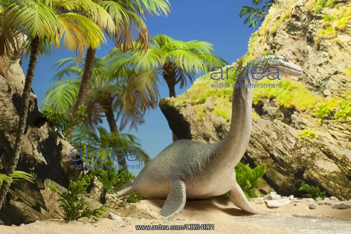 : Plesiosaur on island. Lenght: 23 feet. Cretaceous : Plesiosaur on island. Lenght: 23 feet. Cretaceous
