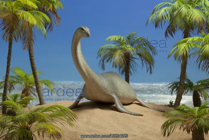 : Plesiosaur on island nesting-ground. Lenght: 23 : Plesiosaur on island nesting-ground. Lenght: 23