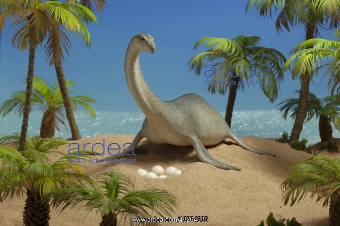 : Plesiosaur at nest-site with her eggs. Lenght: 23 : Plesiosaur at nest-site with her eggs. Lenght: 23