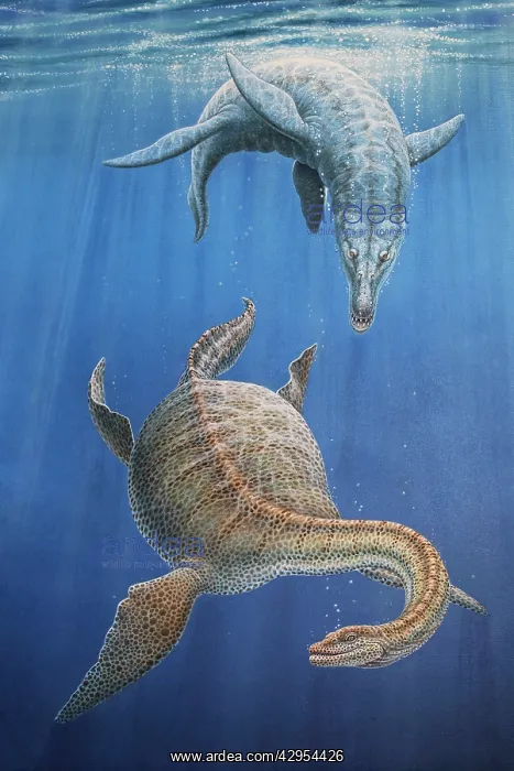 : Pliosaur hunting a Plesiosaur : Pliosaur hunting a Plesiosaur