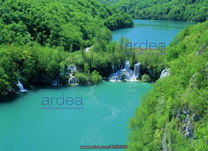 : Plitvice Lakes - lower canyon with waterfalls and : Plitvice Lakes - lower canyon with waterfalls and