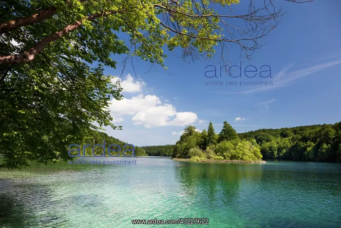 : The Plitvice Lakes in the National Park : The Plitvice Lakes in the National Park