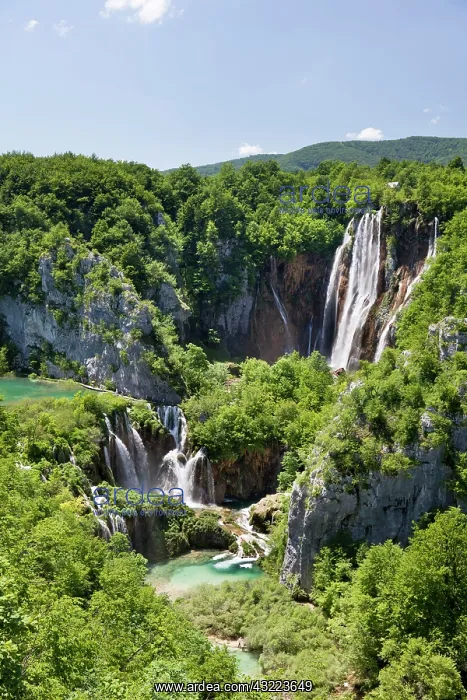 : The Plitvice Lakes in the National Park : The Plitvice Lakes in the National Park