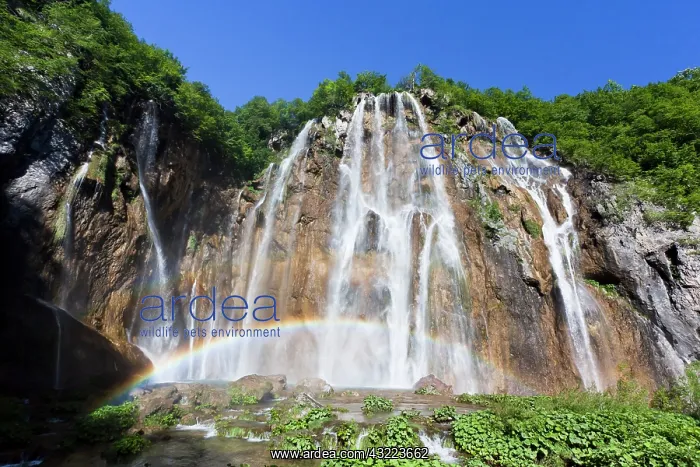 : The Plitvice Lakes in the National Park : The Plitvice Lakes in the National Park