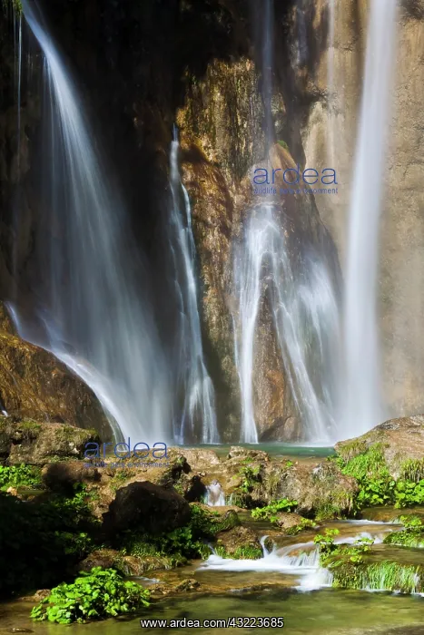 : The Plitvice Lakes in the National Park : The Plitvice Lakes in the National Park