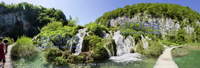: The Plitvice Lakes in the National Park : The Plitvice Lakes in the National Park