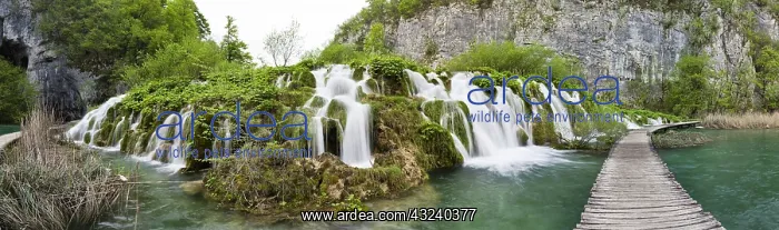 : The Plitvice Lakes in the National Park : The Plitvice Lakes in the National Park
