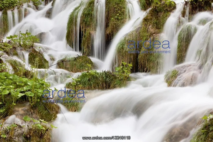 : The Plitvice Lakes in the National Park : The Plitvice Lakes in the National Park