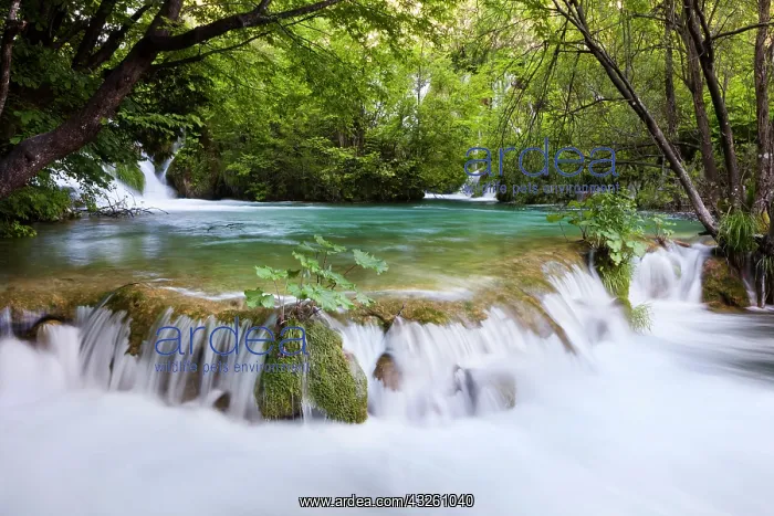 : The Plitvice Lakes in the National Park : The Plitvice Lakes in the National Park