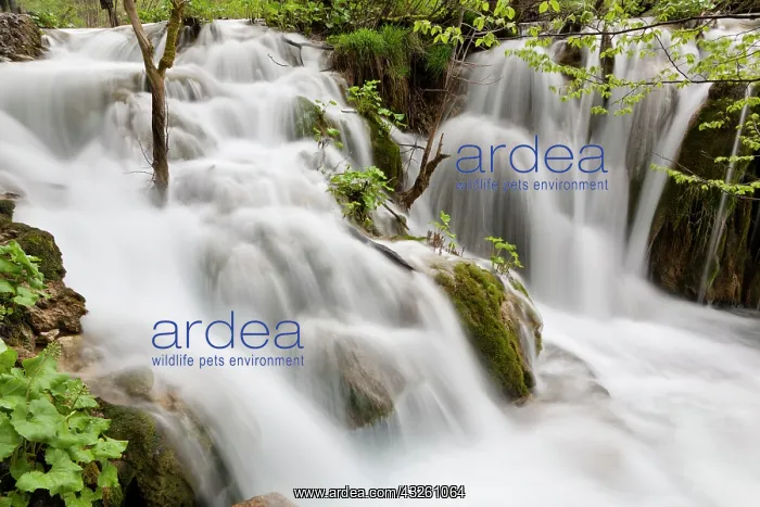 : The Plitvice Lakes in the National Park : The Plitvice Lakes in the National Park