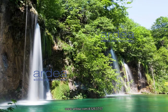 : The Plitvice Lakes in the National Park : The Plitvice Lakes in the National Park