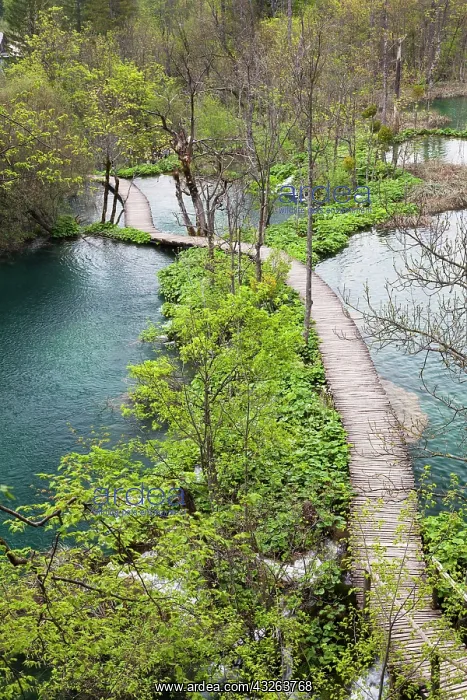 : The Plitvice Lakes in the National Park : The Plitvice Lakes in the National Park