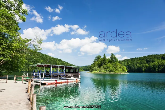 : The Plitvice Lakes in the National Park : The Plitvice Lakes in the National Park
