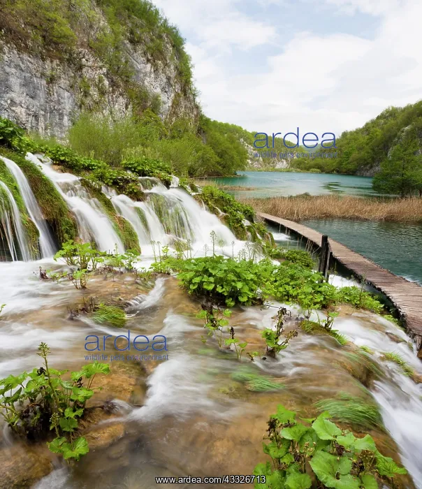 : The Plitvice Lakes in the National Park : The Plitvice Lakes in the National Park