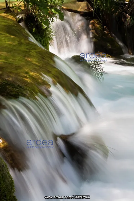: The Plitvice Lakes in the National Park : The Plitvice Lakes in the National Park