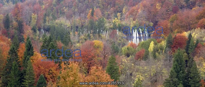 : Plitvice National Park, Croatia : Plitvice National Park, Croatia