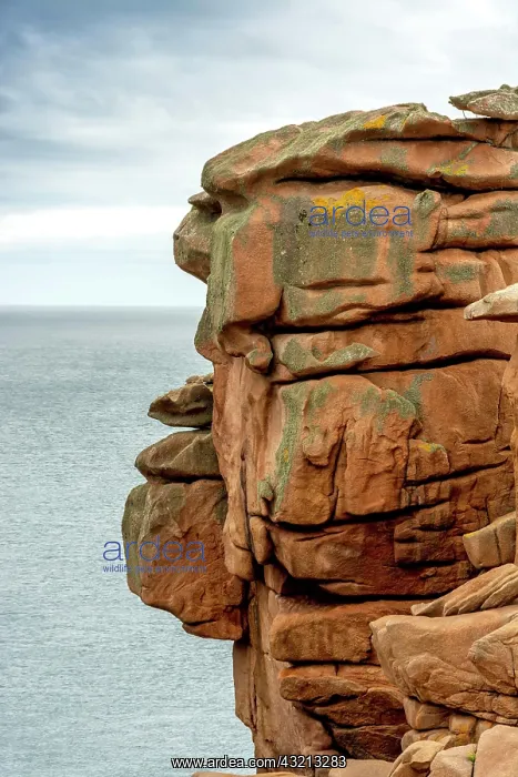 : Ploumanach, giant rocks at the Cote granit rose : Ploumanach, giant rocks at the Cote granit rose