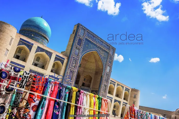: Po-i-Kalan or Poi Kalan, an Islamic religious complex : Po-i-Kalan or Poi Kalan, an Islamic religious complex