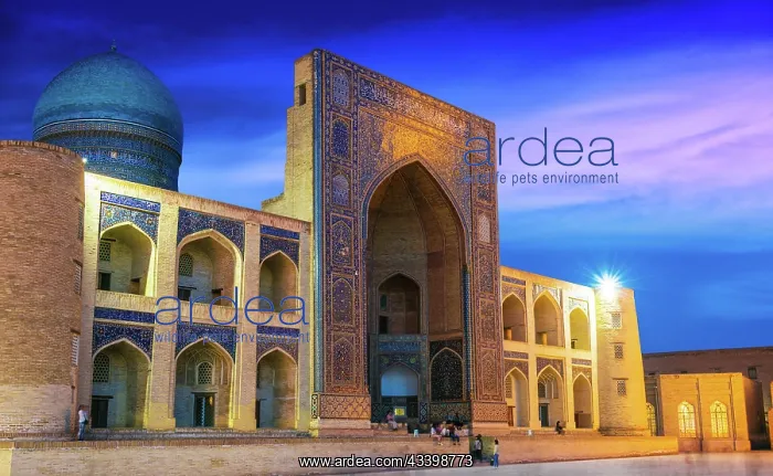 : Po-i-Kalan or Poi Kalan, an Islamic religious complex : Po-i-Kalan or Poi Kalan, an Islamic religious complex