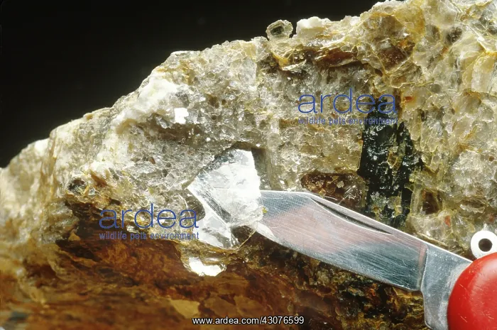 : Pocket-knife cleaving a flake of mica : Pocket-knife cleaving a flake of mica