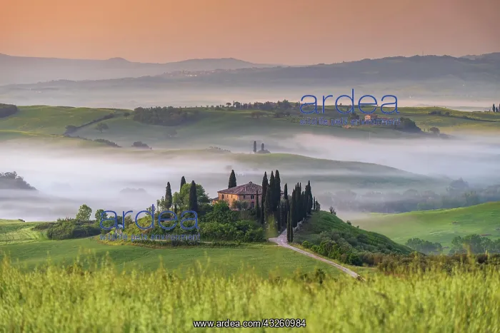 : Podere Belvedere, country estate in hilly fields : Podere Belvedere, country estate in hilly fields
