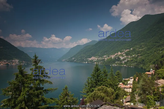 : Pognana Lario town, Como Province, Italy : Pognana Lario town, Como Province, Italy