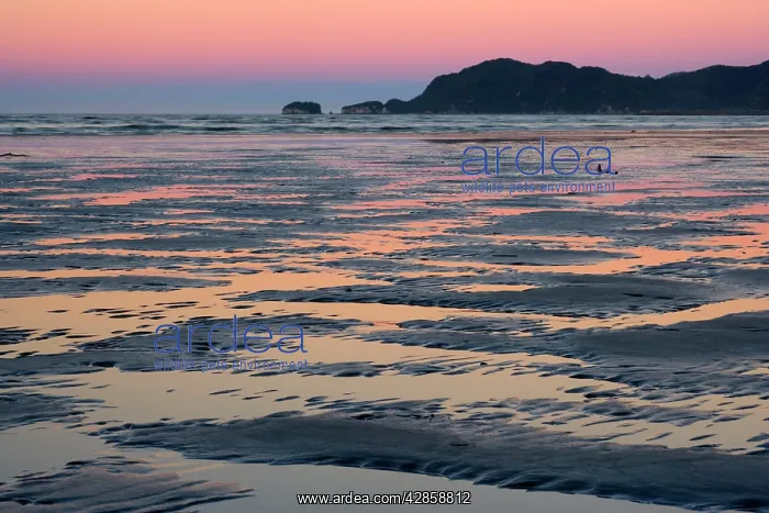 : Pohara Beach - colourful sky just after sunset : Pohara Beach - colourful sky just after sunset