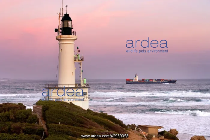 : Point Lonsdale Lighthouse. Built in 1902 at the : Point Lonsdale Lighthouse. Built in 1902 at the