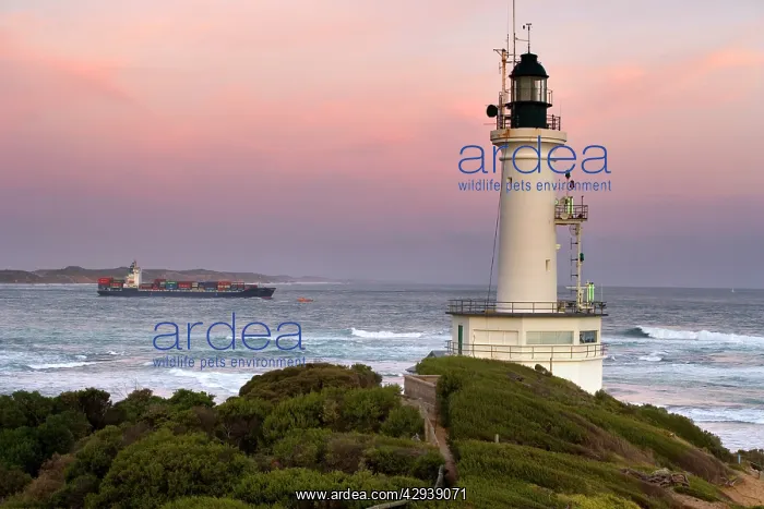 : Point Lonsdale Lighthouse. Built in 1902 at the : Point Lonsdale Lighthouse. Built in 1902 at the