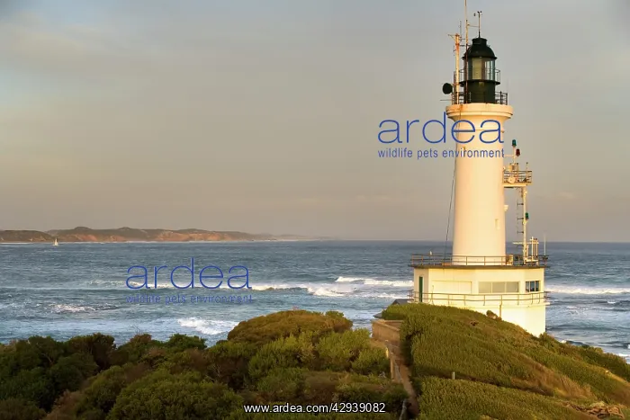  : Point Lonsdale Lighthouse. Built in 1902 at the