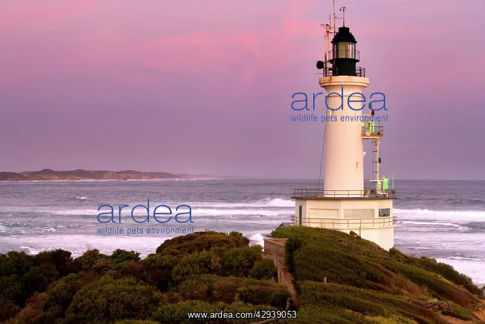 : Point Lonsdale Lighthouse.Built in 1902 at the : Point Lonsdale Lighthouse.Built in 1902 at the