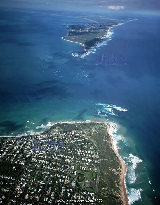 : Point Lonsdale, the Rip and Pointt Nepean Melbourne : Point Lonsdale, the Rip and Pointt Nepean Melbourne