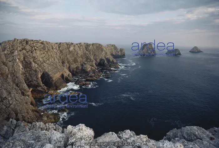 : Pointe de Pen-Hir, Britanny, France : Pointe de Pen-Hir, Britanny, France