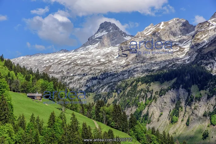 : The Pointe Percee in the Aravis mountain range : The Pointe Percee in the Aravis mountain range